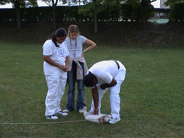 Image en chargement