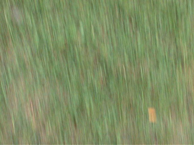 Image has been resized