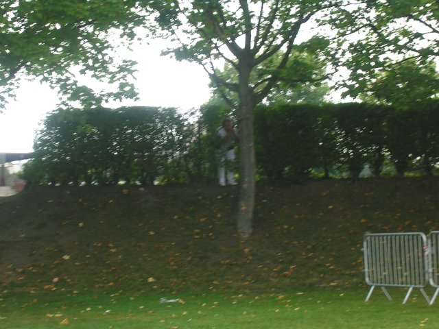 Image has been resized